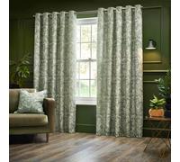Wylder Bengal Chenille Eyelet Curtains In Sage 168 X 137Cm