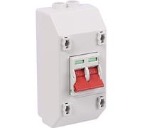Wylex 2 Pole Isolator Switch With Enclosure 100A, Gray, Metal, Mechanical, Lever, ON-OFF