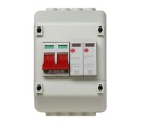 Wylex REC2SPD Enclosed, Insulated, 100A DP Supply Isolator with Type 2 SPD