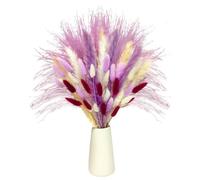 WYLFYJP Pampas Grass Flower Bouquet,Dried Pampas Grass Decor For Home Decor,Mix Pampas Grass Floral Arrangement Centerpiece For Vase