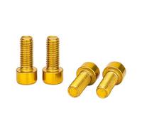 WYLZLKX 4Pcs 5x12mm Water Bottle Cage Bolts Mountain Bike Cycling Bottle Holder Screw Stainless Steels Kettles Holder Screw.Gold