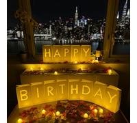 WYMM 'Happy Birthday' Light up Letters with Tea Lights and Rose Petals - Luminary Paper Bags for Birthday Banner and Sign