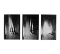 Wymond Miles - Passion Plays [VINYL]