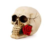 Wynameleri large Rose Flower skull Human Head Size, mexican ceramic skull red rose, gothic skull ornaments home decorative home accessories beige resin skeleton14.5 * 20.6 * 15.5cm