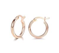 wynn's Rose Gold Earrings for Women, 925 Sterling Silver Hoops Earrings, Anti-allergic Huggie Hinged Small Slepper Hoops, Gift for Girls, Diameters in 24 mm, Rose Gold Hoop Earrings