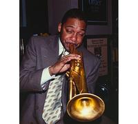 Wynton Marsalis Playing Trumpet in Portrait Photo Print (8 x 10)