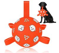 WYNTRIUM Dog Football Toys for Large Dogs with Webbing, Durable Bright Dog Balls for Fetch, Interactive Floating Water Ball for Touring, Indoor & Outdoor (Orange,8inch)
