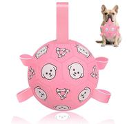 WYNTRIUM Dog Football Toys with Grab Tags, Interactive & Bright Puppy Birthday Gifts for Small/Medium Breed, Durable Puppy Toys for Boredom, Indoor & Outdoor (Pink, 6inch)