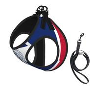 Wyoming State Flag print Dog Harness and Leash Set, Reflective Adjustable Puppy Vest for Small Medium Large Dogs, Cats