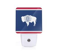 Wyoming State Flag Print Plug-in Night Light for Bedroom Hallway Bathroom Mounted Lighting Dorm Home Decor