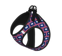 Wyoming State Flag Print Step in Dog Harness and Leash Set,Adjustable Reflective Harness for Small Dogs Cats