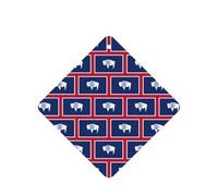 Wyoming State Flag Printing 10 Pcs Air Freshener Cards,Car Scented Hanging Sheets Air Freshener Set For Car Decoration