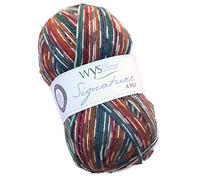 WYS Signature 4 ply Knitting Wool / Yarn 100g - Pheasant 855