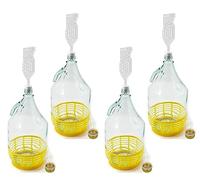 WYSKONT Enghals Balloon Bottle with Screw Cap, Protective Basket, Airlock and Stopper for Wine Making, Fermentation, Drink Storage, Clear Glass, 4 Pieces x 5 Litres