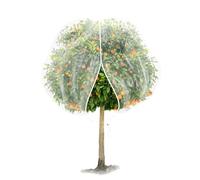 WYTAOHZL 10x12FT Large Fruit Tree Netting Cover Mesh with Zipper Drawstring Plant Netting for Fruits Vegetables Tree Blueberry Protection from Cicada Insect Bird