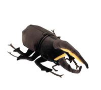 Wyvix Realistic Beetle Plush Toy - 9" Soft Rhinoceros Stuffed Animal with Large Horns for Kids