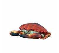 Wyvix Realistic Red Crab Plush Toy - 10.2" Posable Sea Animal Stuffed Doll with Bendable Legs for Kids