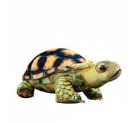 Wyvix Realistic Tortoise Plush Toy 14" Soft Land Stuffed Animal with Shell Pattern