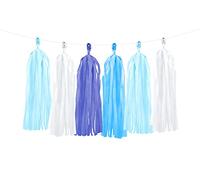 wYw Blue DIY Tassel Garland Banner for Wedding, Gender Reveal, Birthday Party, Event & Party Decoration, Mix Of Colors, 12 Pieces