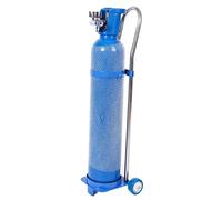 Wzmazingly Oxygen Tank Trolley - Stainless Steel Cylinder Dolly with Silent Wheels, Portable Oxygen Cylinder Carrier for 10 15 20L Gas Cylinder(H 80cm/10L)