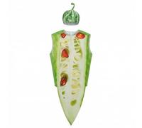 Wzmzjy Vegetable Stage Costume Bitter Melon Event Outfit Cosplay Polyester Headpiece Printed Gourd Realistic Visual Loose One-Size Pull-On Suitable for adults lively celebrations theater comedy shows