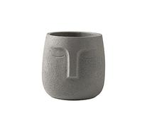 WZTHLF Flower Plant Pots Indoor,Nordic Human Face Ceramic Vase Flowerpot Succulent Green Plant(Light Grey,12cm)