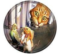 WZVZGZ Metal Round Tin Funny Cat Antique Tin Sign Bar Poster Metal Wall Art Vintage Tin Sign Metal Tin Sign Plaque Suitable for Home Club Garage Kitchen Bar Country Cottage Restaurant 12x12 Inch