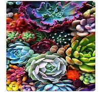 WZVZGZ Metal Square Tin Sign Succulents Plant Rustic Wall Decor Wall Plaque Sign Suitable for Home Garden Kitchen Bar Cafe Restaurant Garage Wall Decor Retro Vintage 12x12 Inch