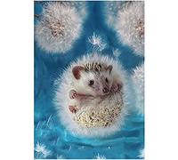 WZVZGZ Metal Tin Sign Hedgehog Novelty Wall Art Decoration Crafts Retro Decoration Wall Art Personalized Signage Retro Vintage Metal Tin Sign 8x12Inch