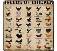 WZVZGZ Metal Tin Sign Retro Wall Decor Chicken Poster, All Breeds of Chicken,Farmhouse Sign Country Farm Kitchen Wall Home Garden Decor Art Signs Garage Decoration 12x12 Inch Vintage Wall Home Decor