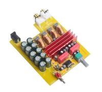 Wzxksoac HiFi Class D Audio Digital Power Amplifier TPA3116 Advanced Mini Home High Power Amplifier Board