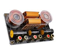Wzxksoac High-Fidelity Audio Hi-Fi 800W 2 Way Speaker Frequency Divider Filter Crossover Board 2600Hz with Tweeter Fuse Protection