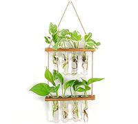Wzxksoac Wall Hanging Plant Glass Propagation Station Tubes Flower Terrarium with Wooden Stand Modern Vase Accessories for Home