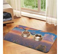 WZYCWB 30x45cm Beautiful Airplane Printed Pet Absorbent Placemats - Non-Slip Food Mats for Dogs and Cats Food Bowls and Water Placemats