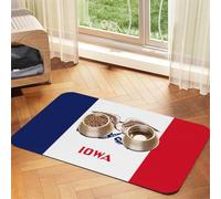 WZYCWB 30x45cm Iowa State Flag Printed Pet Absorbent Placemats - Non-Slip Food Mats for Dogs and Cats Food Bowls and Water Placemats