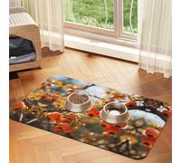 WZYCWB 30x45cm Persimmon Patterned pet placemat Food mat - for cat and Dog Food Bowl mats, Foldable and Easy to Store