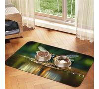 WZYCWB 30x45cm The Dragonfly Flies Printed Pet Absorbent Placemats - Non-Slip Food Mats for Dogs and Cats Food Bowls and Water Placemats