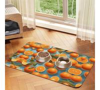 WZYCWB 40x60cm Many Delicious Oranges Printed Pet Absorbent Placemats - Non-Slip Food Mats for Dogs and Cats Food Bowls and Water Placemats