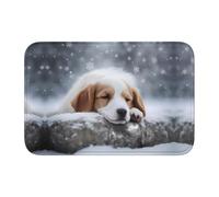 WZYCWB A Sleeping Dog Washable Winter Doormat, 15.7 * 23.6 inch Hem mat, dustproof Lock Edge Floor mat, Front and Back Door Absorbent Welcome mat