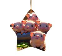 WZYCWB Baby Pig patterned Star Shape ceramic pendant, perfect for decorating your home Christmas tree for winter parties