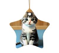 WZYCWB Bedroom kitten patterned Star Shape ceramic pendant, perfect for decorating your home Christmas tree for winter parties