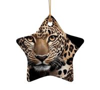 WZYCWB Big eyed leopard patterned Star Shape ceramic pendant, perfect for decorating your home Christmas tree for winter parties