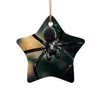 WZYCWB Big Spider patterned Star Shape ceramic pendant, perfect for decorating your home Christmas tree for winter parties