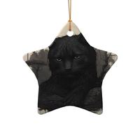 WZYCWB Black cat watching patterned Star Shape ceramic pendant, perfect for decorating your home Christmas tree for winter parties