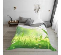 WZYCWB Cao Bang, Vietnam 60"x50" Printed flannel blanket - 30-80 inches. A warm blanket for autumn home use and a portable travel blanket.