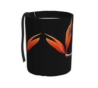 WZYCWB Colorful Bird of Paradise Portable car Trash can, Practical car Storage Bucket, Practical, Convenient and Foldable, a Must-Have for Cars.