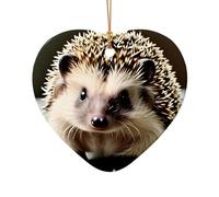 WZYCWB Cute hedgehog patterned Heart Shape ceramic pendant, perfect for decorating your home Christmas tree for winter parties