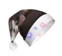 WZYCWB Cute young pig Adult LED Party Hat, Holiday Party Decoration