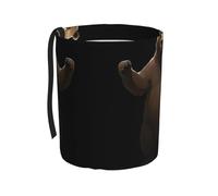 WZYCWB Data Bear Binary Hanging car Trash can, Practical and Convenient, Suitable for Multiple car Models, Providing Ideal Storage Space