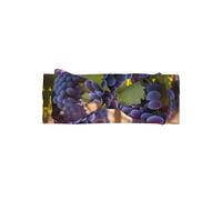 WZYCWB Desert Grapes Bow Headband Children Elastic Bow Hair Accessories 0-6 Months Hair Bows for Newborns Infants Toddlers